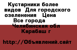 Кустарники более 100 видов. Для городского озеленения › Цена ­ 70 - Все города  »    . Челябинская обл.,Карабаш г.